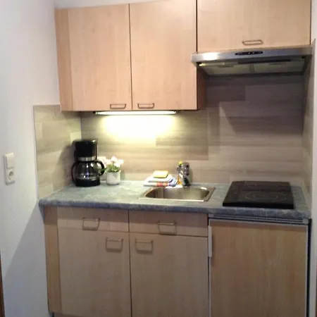 公寓 Apartmenthaus Brigitte *