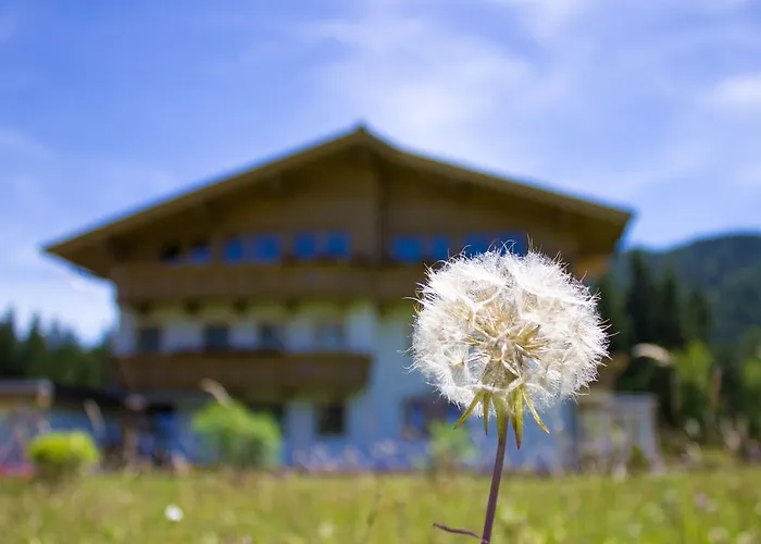 Apartmenthaus Brigitte דירה *